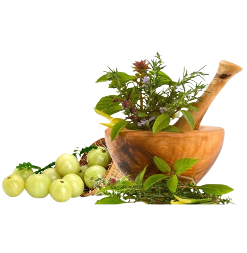 Oilseeds & Oils